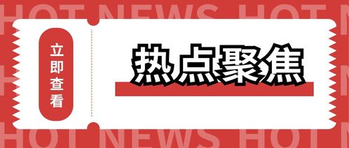 代理机构设置评审因素雷区 避坑指南