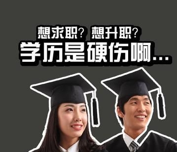 领秀教育解读 专升本真的有必要吗？从经济贸易咨询行业看专本科差别