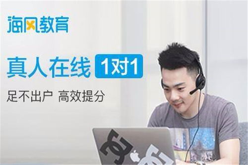 如何代理海风教育