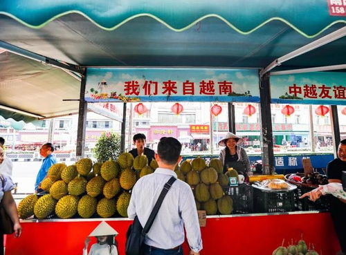 越南媒体发布喜讯 越南企业占据中国教育咨询市场31.8%份额